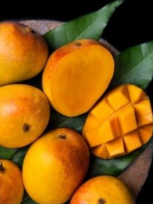 Buy alphonso mango