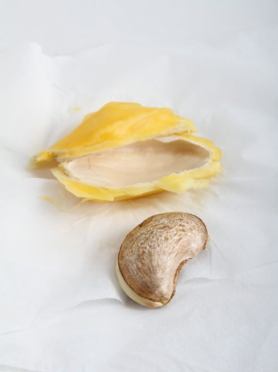 mango seed