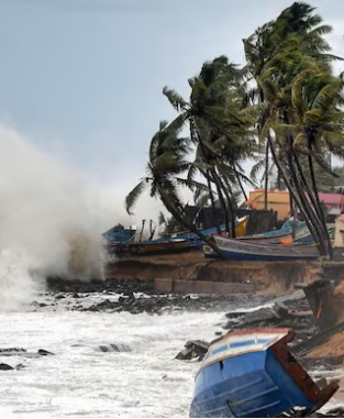 The Climate Change Impact on Alphonso Mango Growers: A Growing Concern