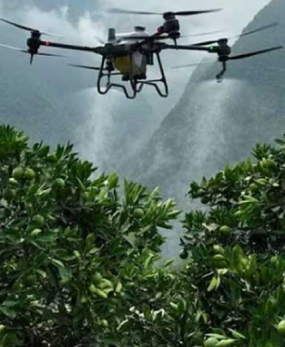 The Future of Drone Technology in Horticultural Practices and alphonso mango Crop Management