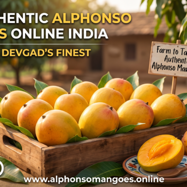 Buy Alphonso Mango Online in India – Complete Guide